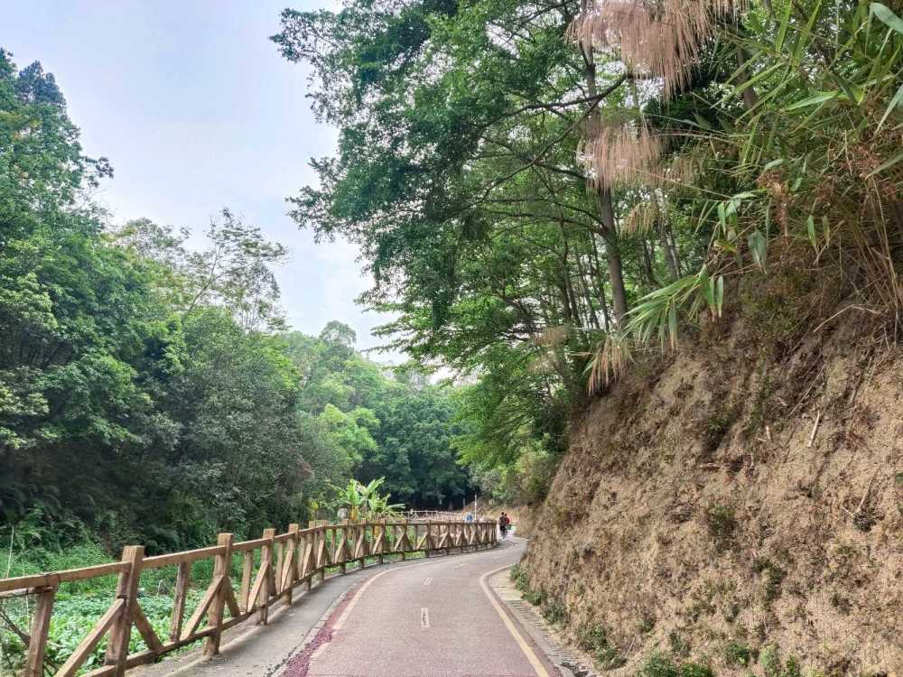 与天地相拥与自然相融美丽樟坑径绿道