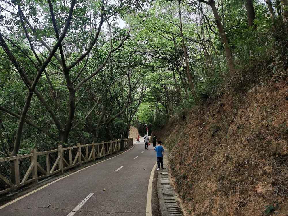 与天地相拥与自然相融美丽樟坑径绿道