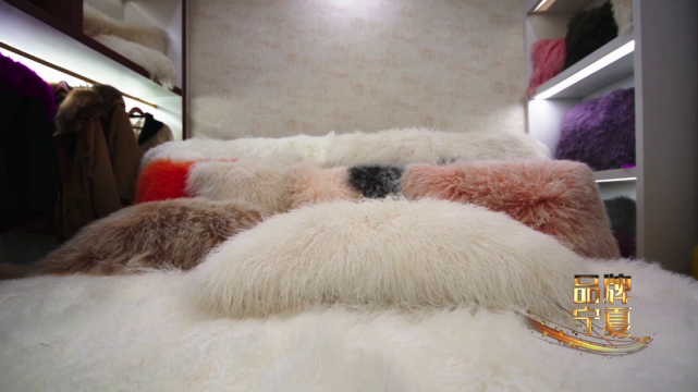 土土的宁夏二毛皮 如何走出时尚国际范（最新发布）