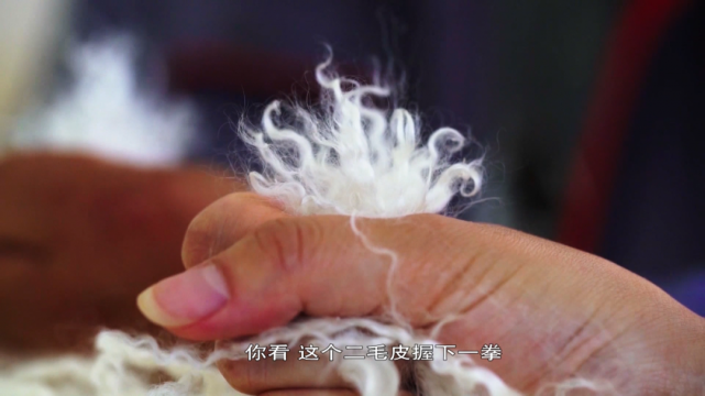 土土的宁夏二毛皮 如何走出时尚国际范（最新发布）