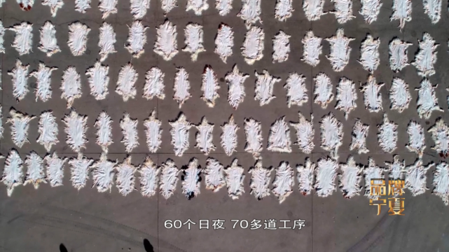 土土的宁夏二毛皮 如何走出时尚国际范（最新发布）