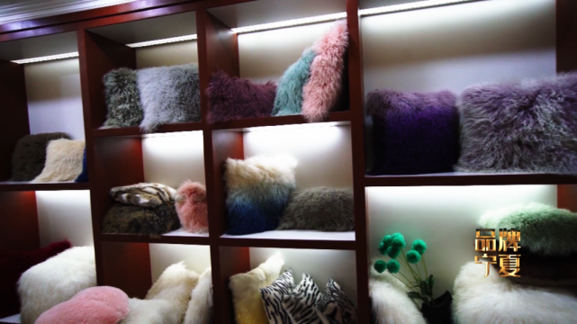 土土的宁夏二毛皮 如何走出时尚国际范（最新发布）