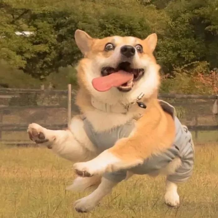 好看的微信头像