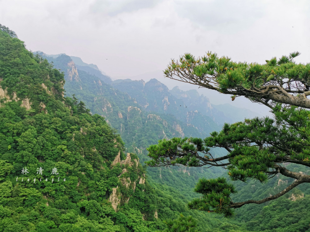 五一假期自驾游,河南最适合出行的10个景点,有3个没门票