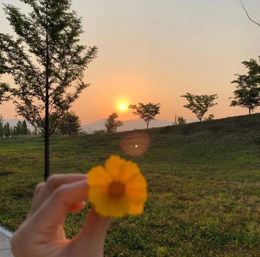 背景图‖春日的晚风,浪漫又柔.