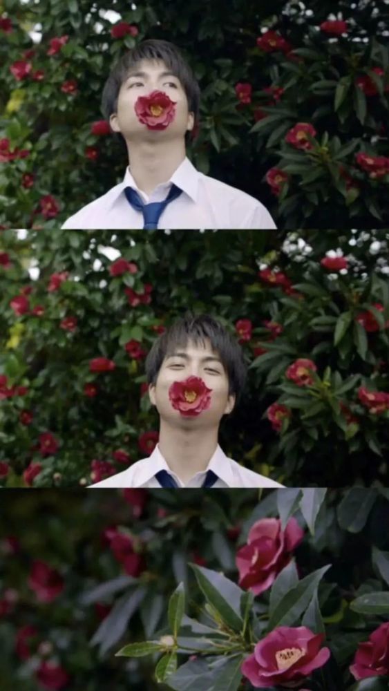 《溺水小刀》|菅田将晖 小松菜奈壁纸