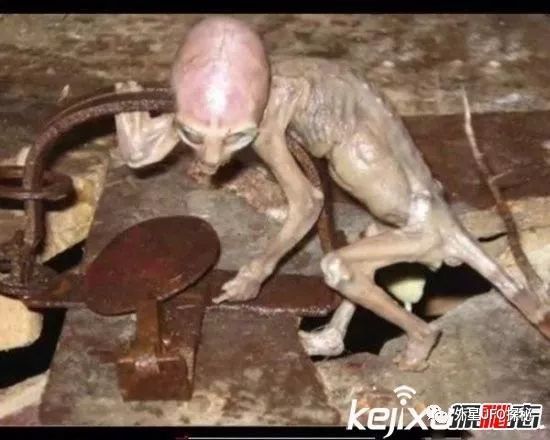 人类已知的50类外星人,各种外星人种类大揭秘(m78真的
