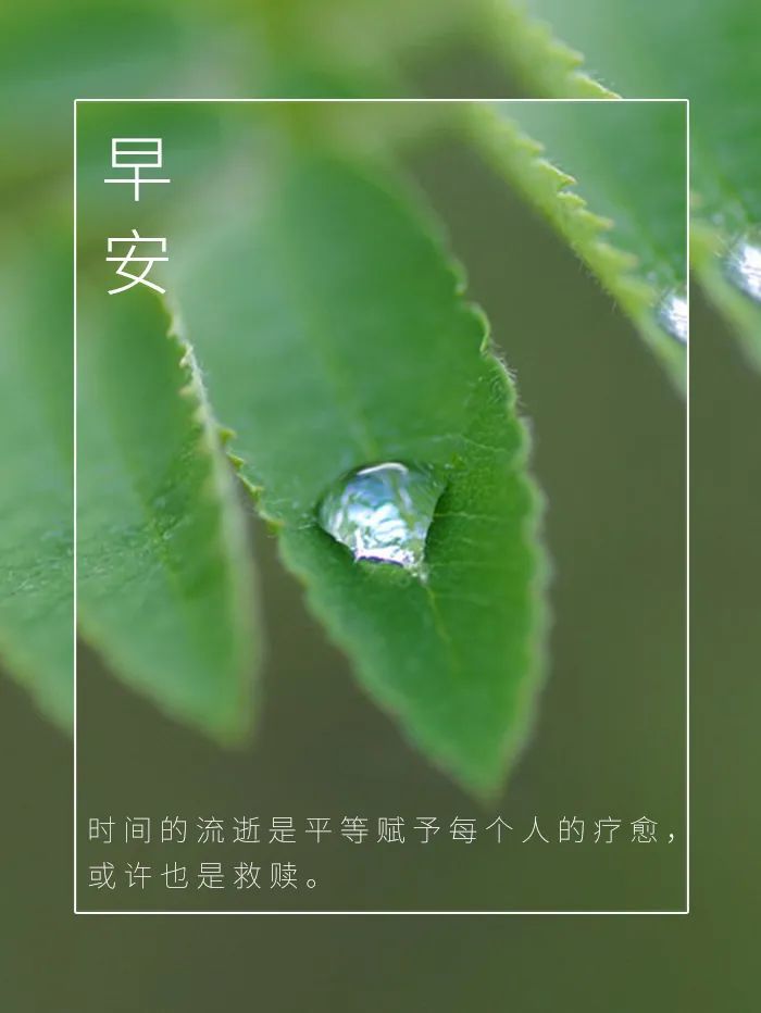 每日早安心语早安你好一句话