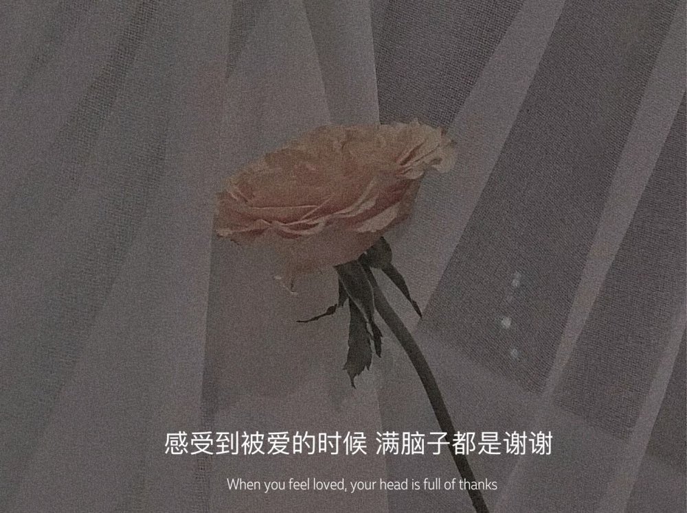 网抑云图片|成为遗憾 或许会被记得久一点