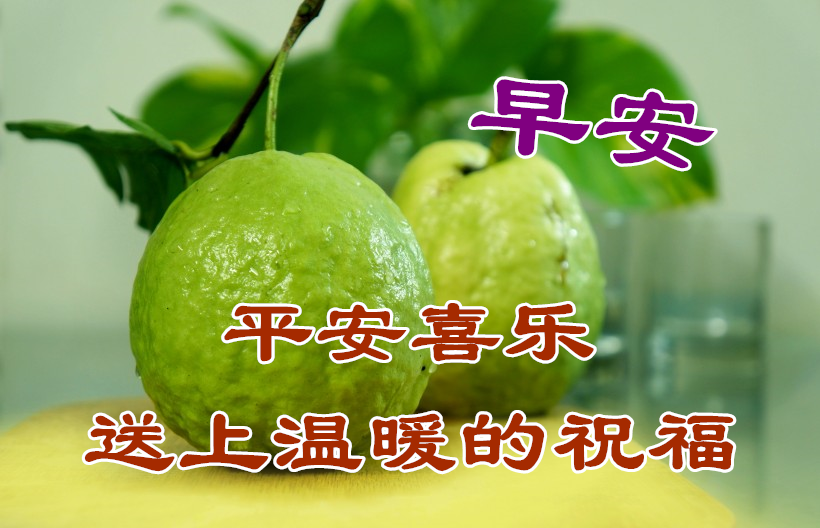 愿你快乐每一天!