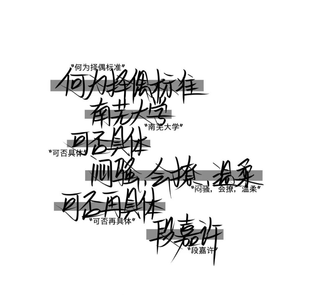 ""段嘉许"