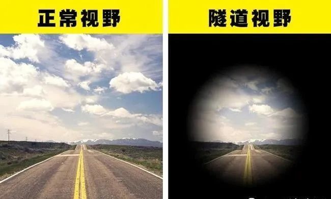 高中“9大科目提分速成笔记”，你有3D眼吗？