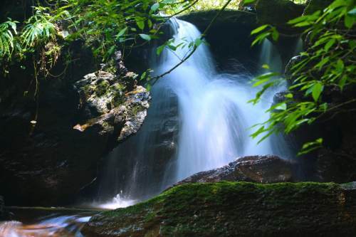 组图|鹤峰:春日山泉激活山川新绿