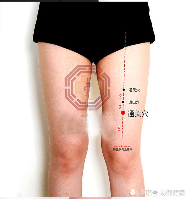 取穴:在大腿正中线的股骨上,距通关穴直上四寸处是穴所在.