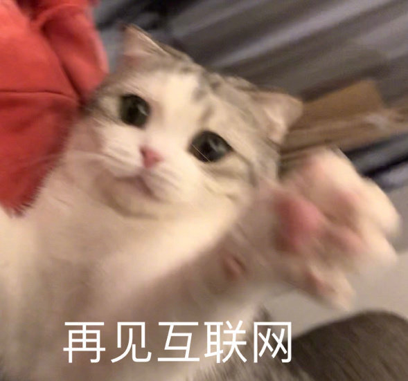 2,放开我,我要去蹦迪! 3,拜拜,我去搬砖了! 4,你在教我做事?