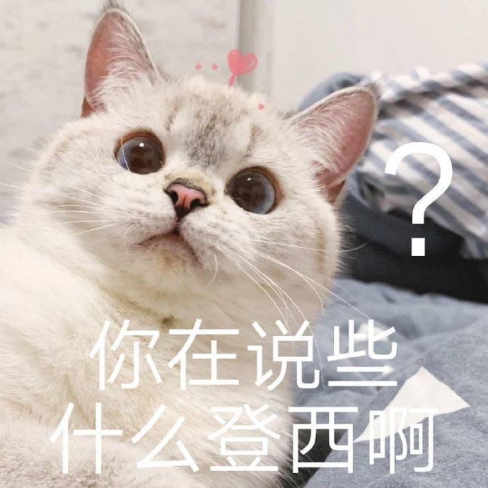 萌宠表情包:你凶我?我委屈了!