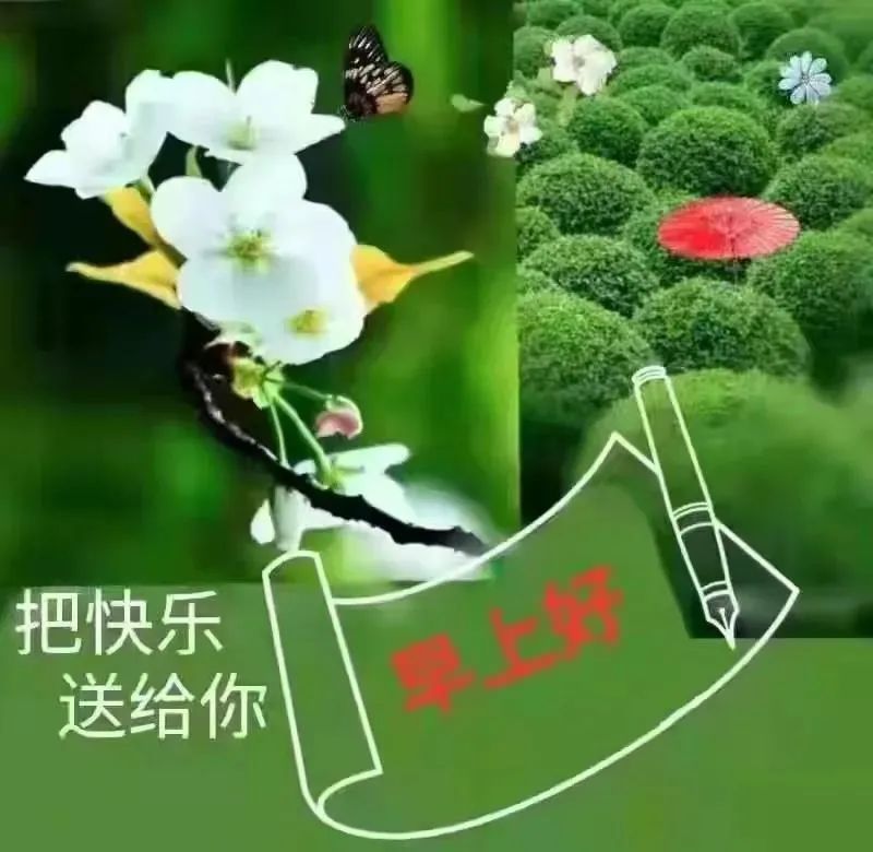 创意好看的早上好问候唯美图片带字精选,春天早安问候