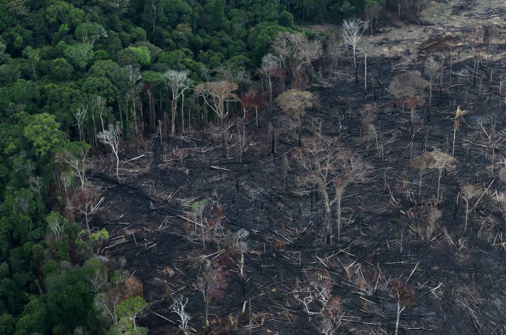 第六次大灭绝的警钟:全球97%的陆地生态被破坏