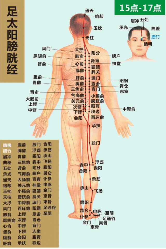 最全的高清经络穴位图,所有穴位都有!再也不怕找不到穴位了