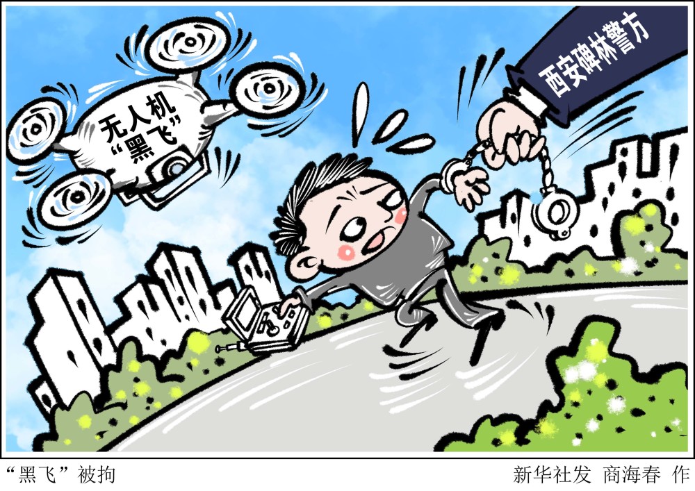 (图表·漫画)【社会】"黑飞"被拘