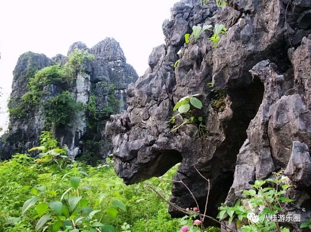 马山|金钗石林城堡,大自然的鬼斧神工!