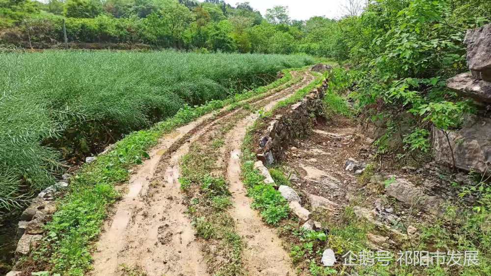 祁阳苏油坪镇有一位老人,花两年时间修一条小乡村路到