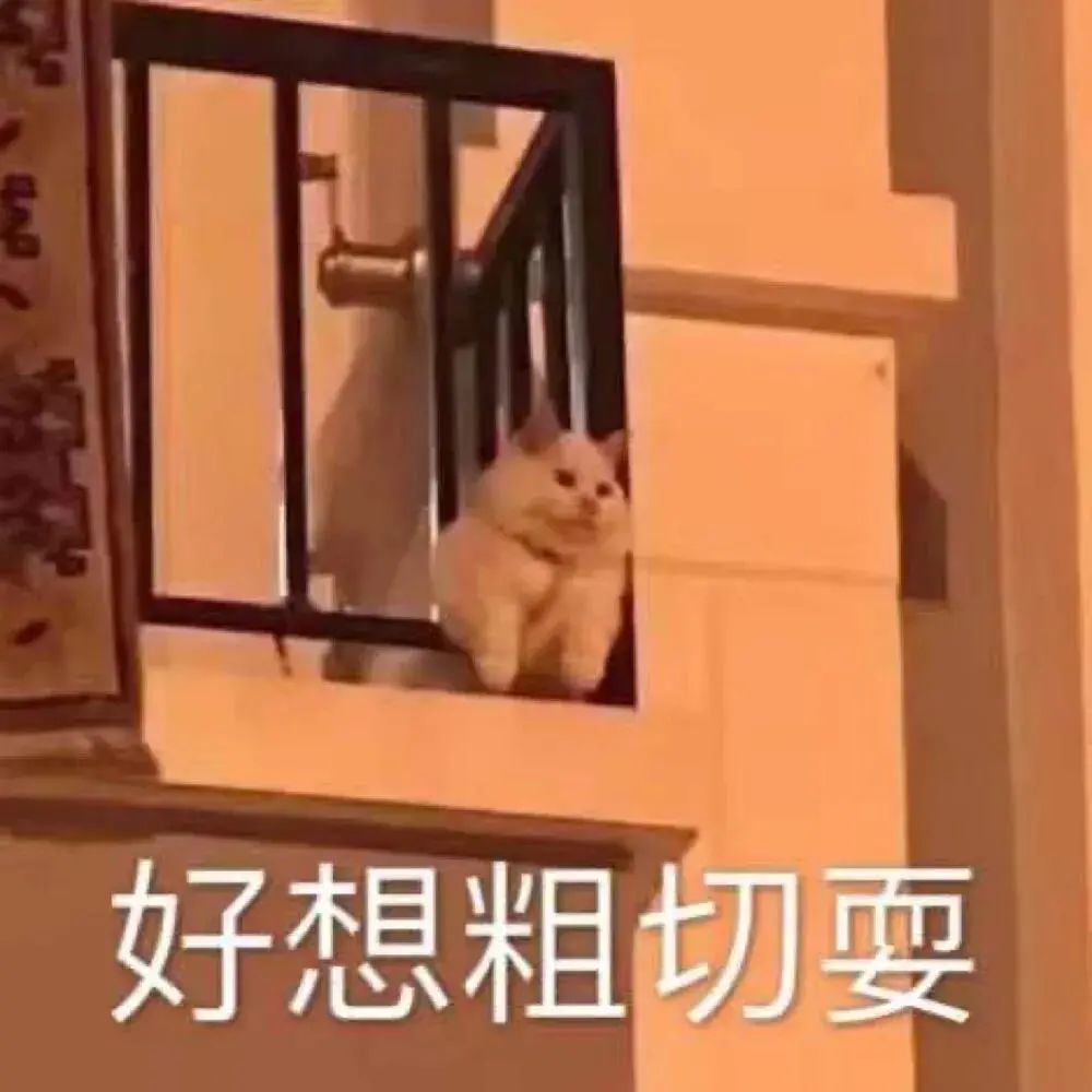 表情包|不敢吭声