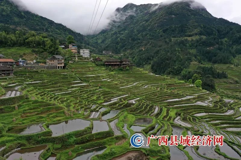 4月16日,在广西融水苗族自治县安太乡小桑苗寨拍摄的梯田美景.