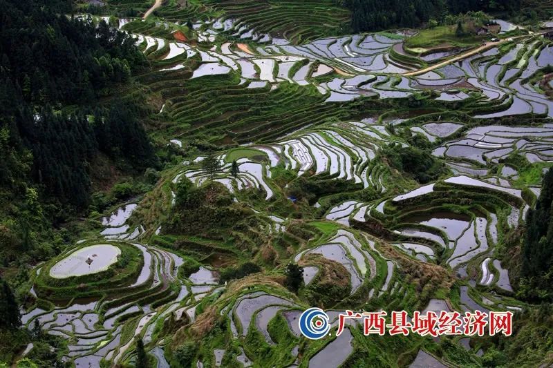 4月16日,在广西融水苗族自治县安太乡元宝苗寨拍摄的梯田美景.