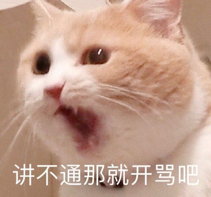 表情包:小猫咪能有什么坏心眼呢?