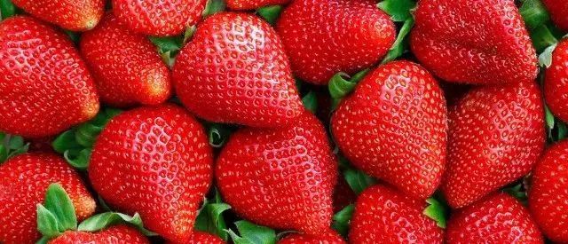 有"果中皇后"美誉的草莓,正是适宜春日食用的果中佳品