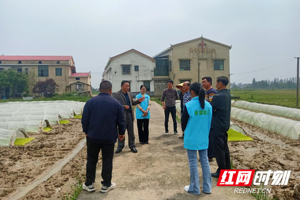 湘阴县岭北镇:将种粮技术从"地头"送上"心头"