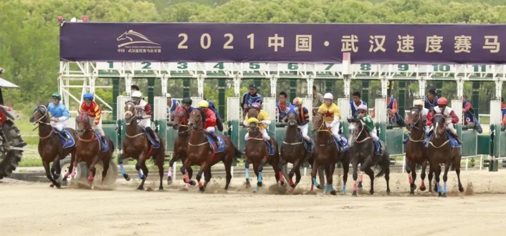 东方马城国际赛马场 都市里的跑马地