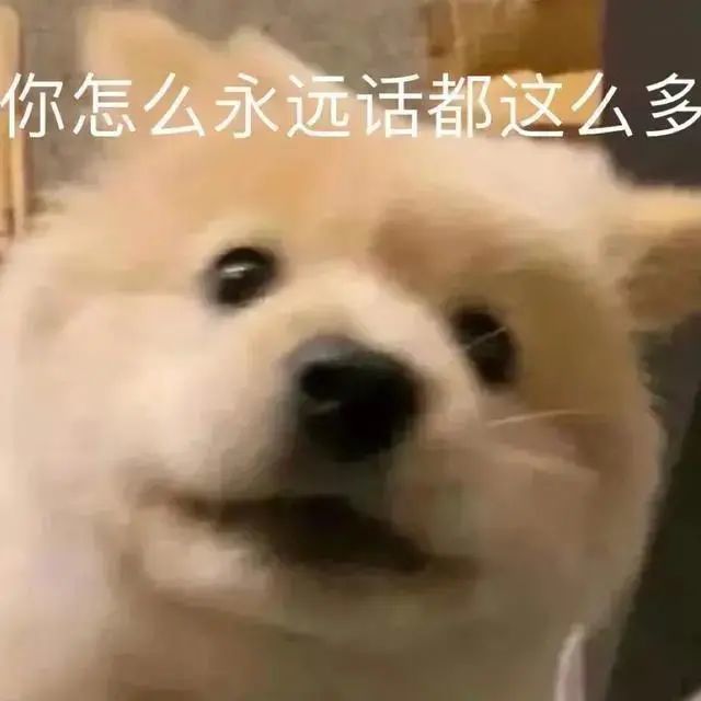 表情包|你怎么永远话都这么多