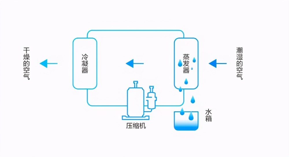 广东回南天辣么难除湿机应该如何选择