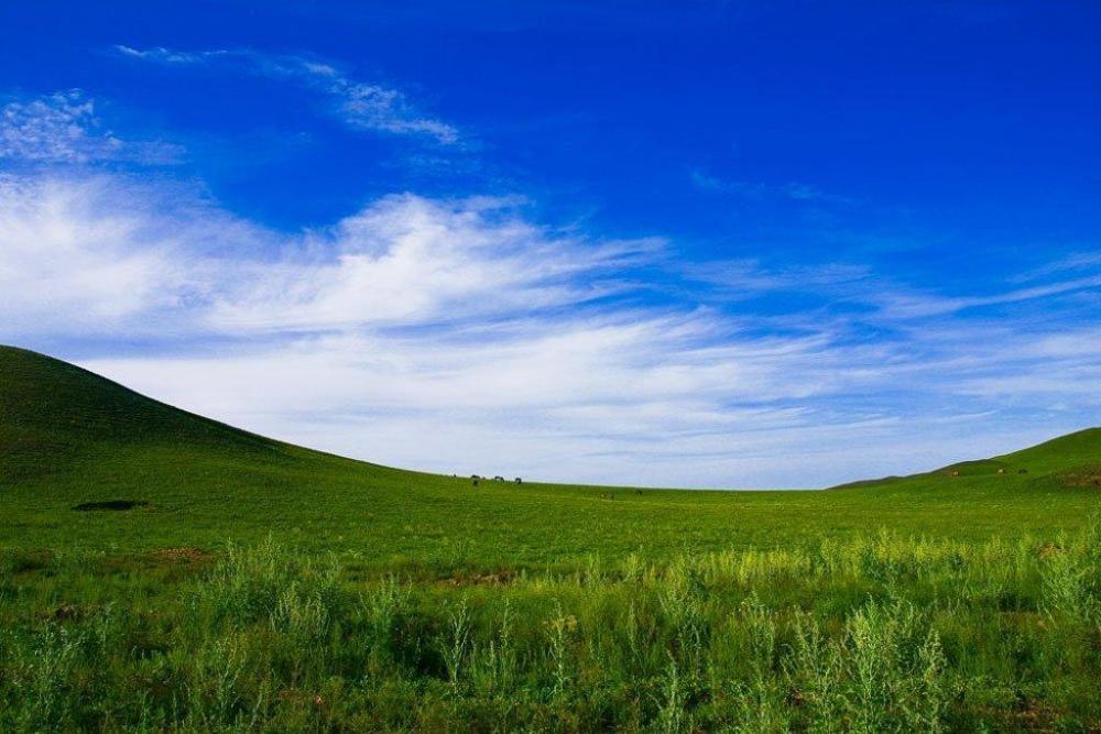 围场满族蒙古族自治县有多个森林公园,被誉为"华北绿宝石"