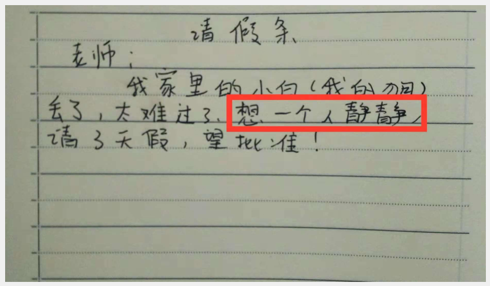 小学生请假条老师气得肺疼爸妈要追几条街网友太有才了