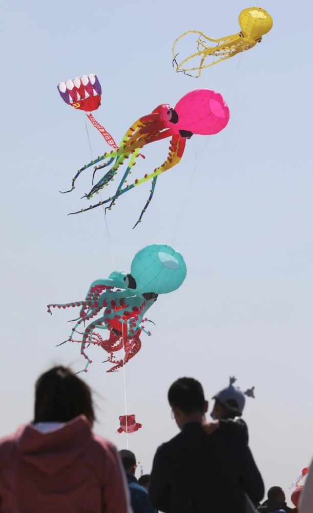 世界最大的龙头蜈蚣风筝起飞!风筝会震撼多图!