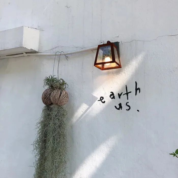 背景图 | 精美ins风票圈背景图封面图