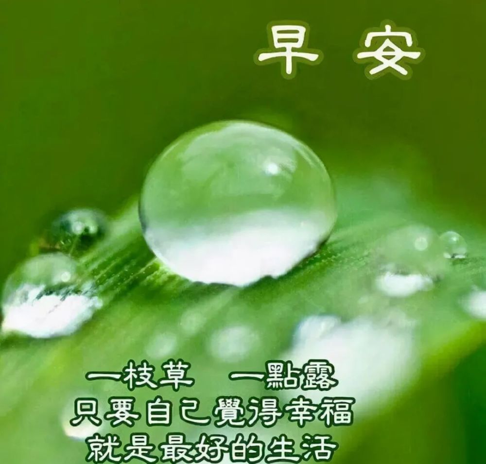 清晨的第一个祝福,拥着快乐幸福平安,早安