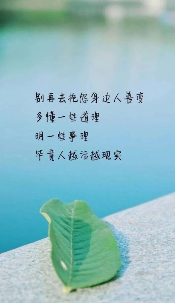最精辟的人生哲理感悟经典说说短句,总有一句触动你心灵