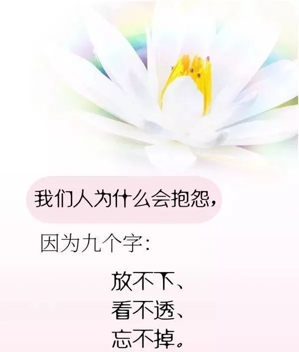 最精辟的人生哲理感悟经典说说短句,总有一句触动你心灵