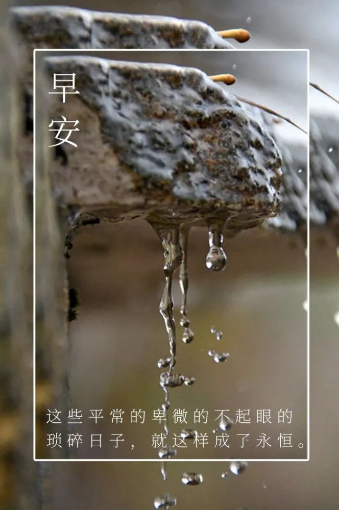 每日早安心语早安你好一句话