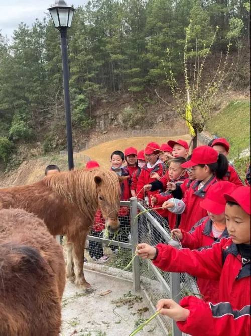 研学热地——在平乐·栖凤峡景区感知自然之美!