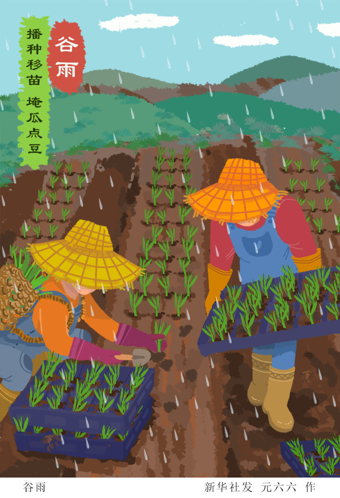 (图表·插画【二十四节气·谷雨】谷雨