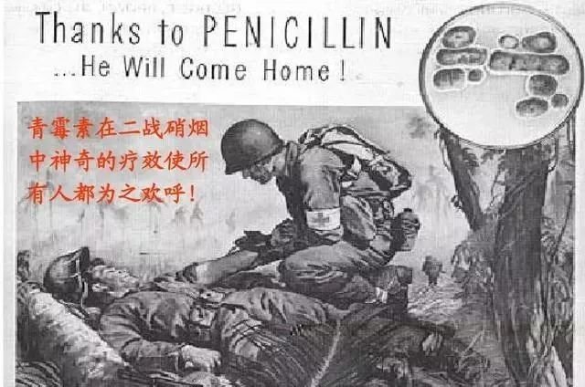 战争时期,西药"盘尼西林"有多珍贵?