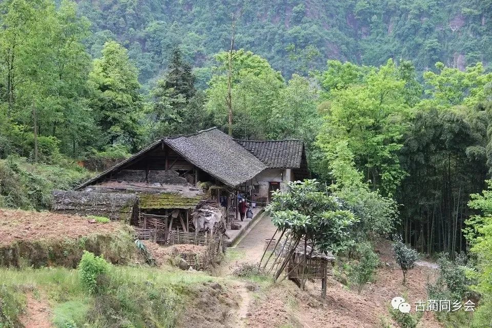 大山深处有人家川南古蔺民居图