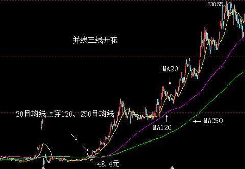 中国股市:一旦出现"三花聚顶"形态,定是大牛股起飞?字字珠玑