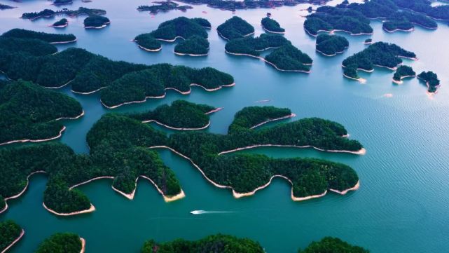 【转载】青山绿水丨杭州淳安千岛湖:岛屿中的科研团队