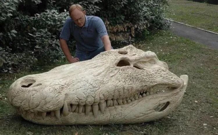 史前巨鳄:普鲁斯鳄的头骨化石